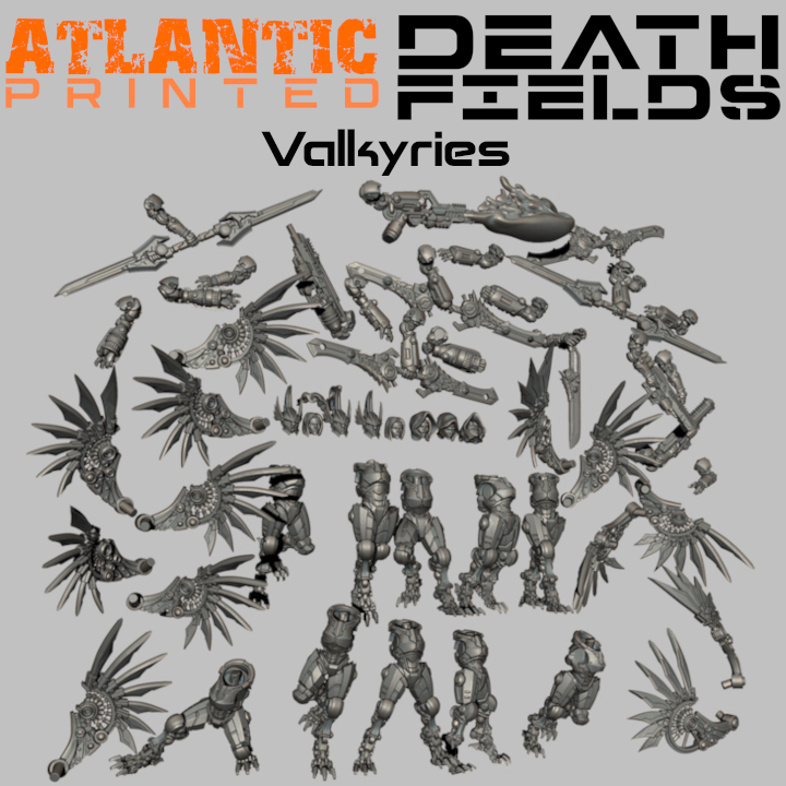 Death Fields Valkyries - Only-Games