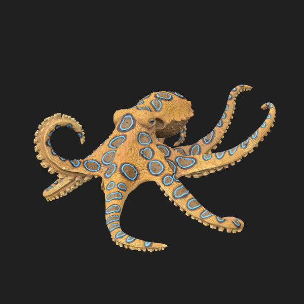 Greater Blue-Ringed Octopus Pre-Colored 1/1 - Only-Games