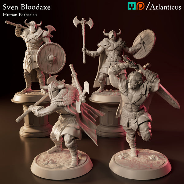 Sven Bloodaxe - Human Barbarian Pack