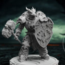 Dragon Knights Veterans - Only-Games