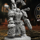 Templar Aegis Therapeuo - Only-Games