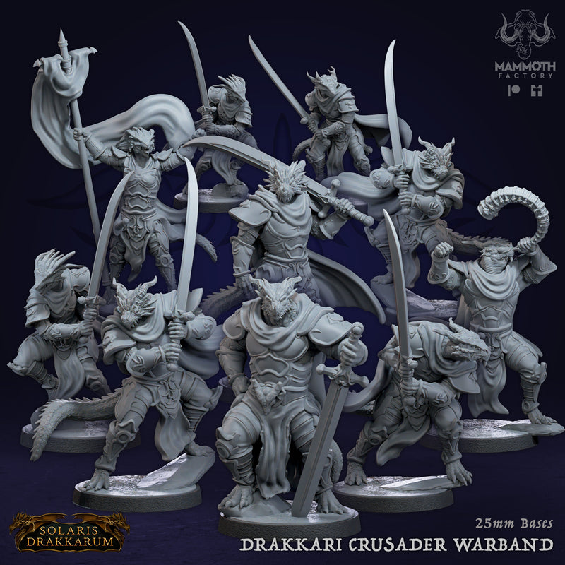 Drakkari Crusader warband