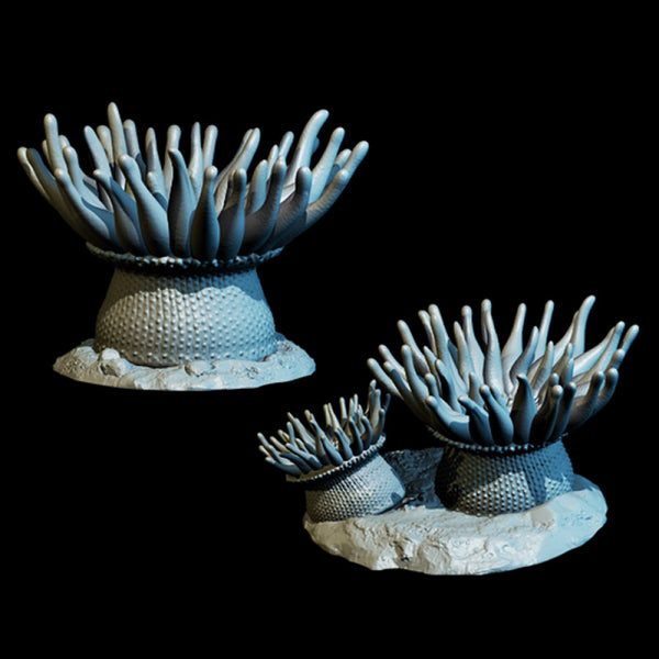 Giant Sea Anemones (2) - Only-Games