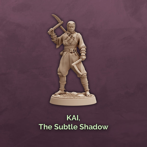 Kai, The Subtle Shadow - Human Ninja