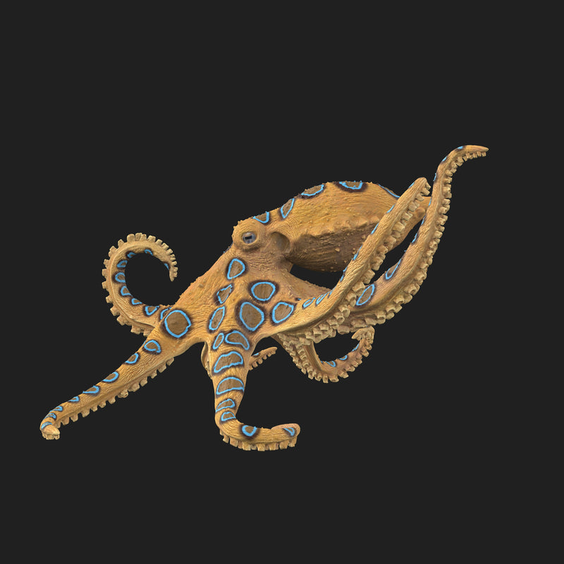 Greater Blue-Ringed Octopus Pre-Colored 1/1 - Only-Games