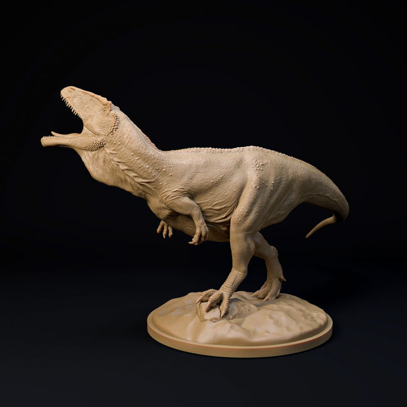 Carcharadontosaurus roar 32mm scale - dinosaur companion - Only-Games