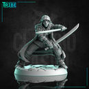 (0250) Female human elf tiefling half-orc firbolg assassin rogue thief with two swords or knives - Only-Games