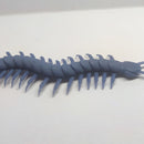 Giant whiptail Centipede - Only-Games