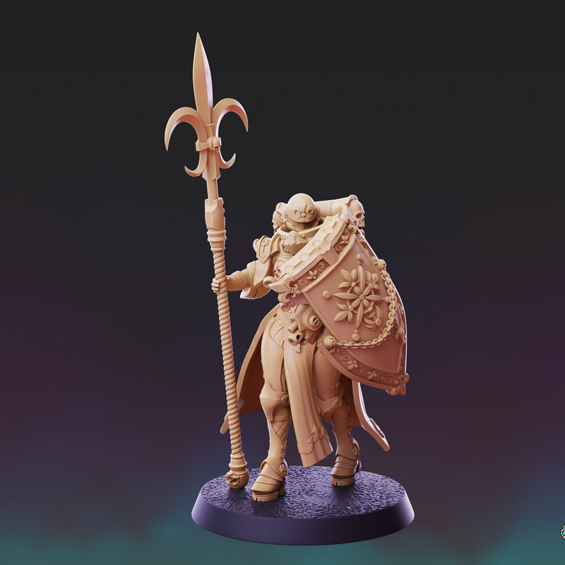 Divine Order Shieldmaiden - 5 Model Bundle