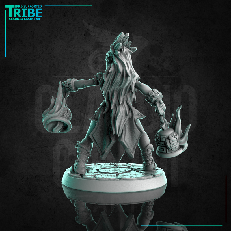 (0296) Female human elf half orc tiefling firbolg shaman  with swords and magic lanterns - Only-Games