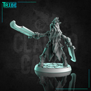 (0296) Female human elf half orc tiefling firbolg shaman  with swords and magic lanterns - Only-Games
