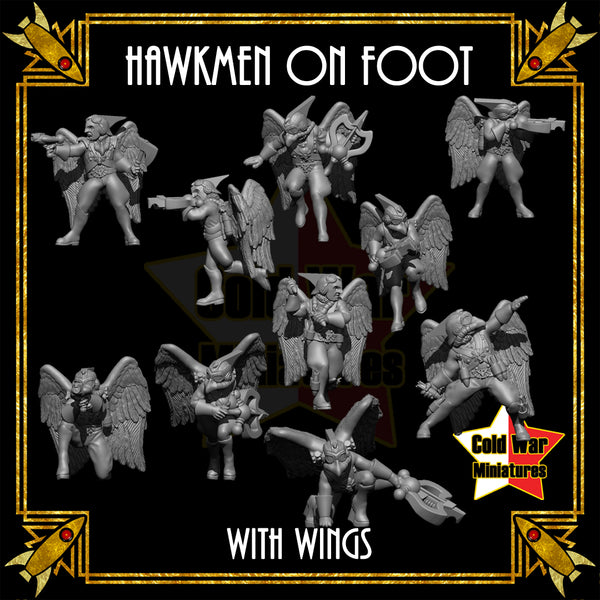 Hawkman Squadron on Foot (wings) - Only-Games