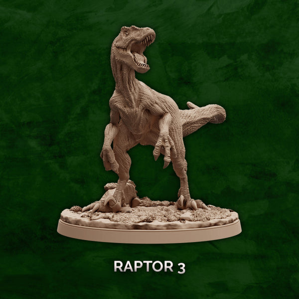 Raptor Pose 3