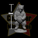 Into the Wild - 4 Bears - Only-Games