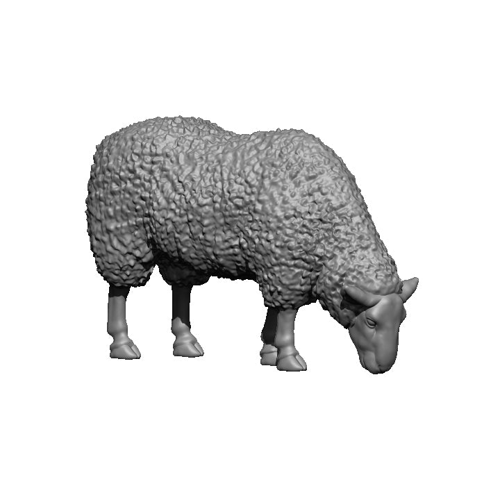 Set of 4 Sheep - Only-Games