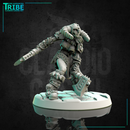 (0189) Female human elf half-orc tiefling firbolg viking valkyrie warrior with two axes - Only-Games