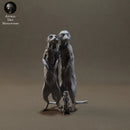 Meerkats 1/9 - Only-Games