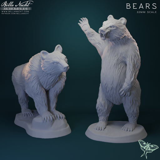 Bears | 32mm STL - Only-Games