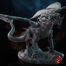 Black Dragon