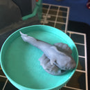 Kilkami Set 06: Sea Animals
