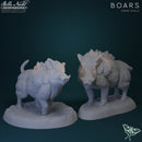 Boars