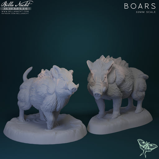 Boars | 32mm STL - Only-Games
