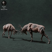 Red Deer Stag 1/56 - Only-Games