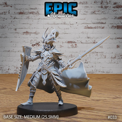 Dark Elf Army Paladin - Only-Games