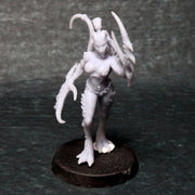 Daemon Scourge Sister - Daemon 4 - Only-Games