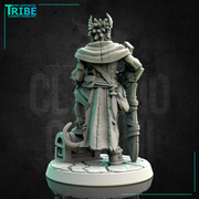 (0207) Male human tiefling firbolg half-orc elf brigand warrior with a sword - Only-Games