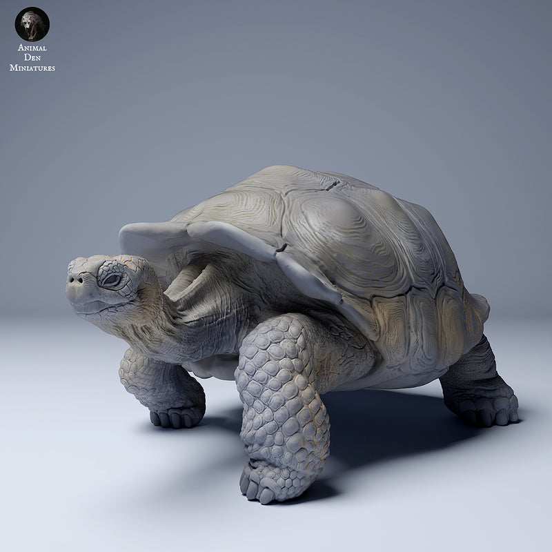 Galapagos Giant Tortoise 1/87