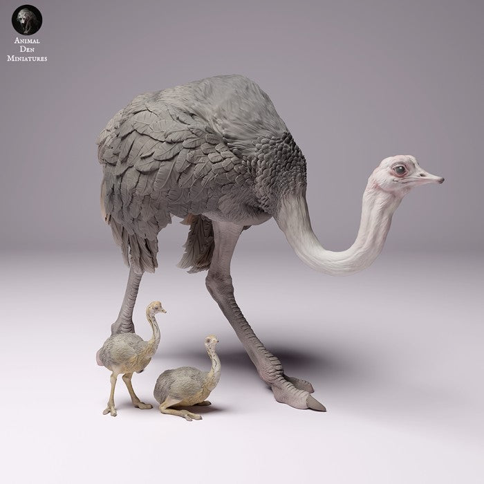 North African Ostrich Female and Chicks 1/43 - Only-Games