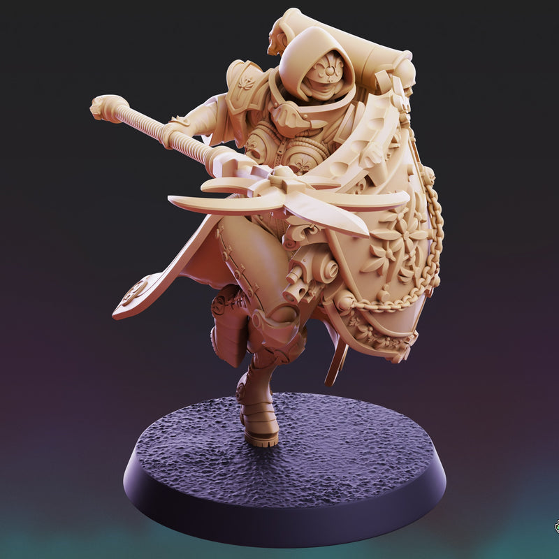 Divine Order Shieldmaiden - 5 Model Bundle