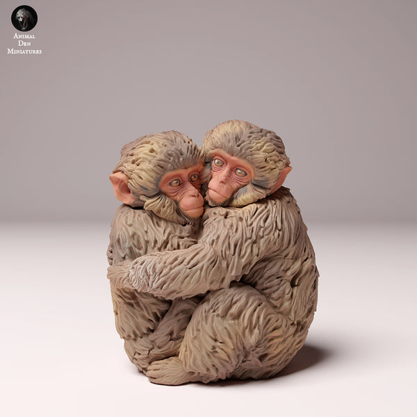 Japanese Macaque Infants Hugging 1/87