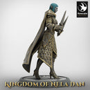 Elf Soldier Dual Dagger Walk - Only-Games