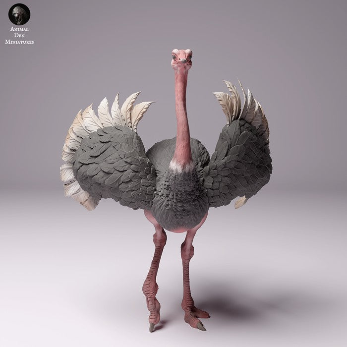 North African Ostrich Male 1/43 - Only-Games