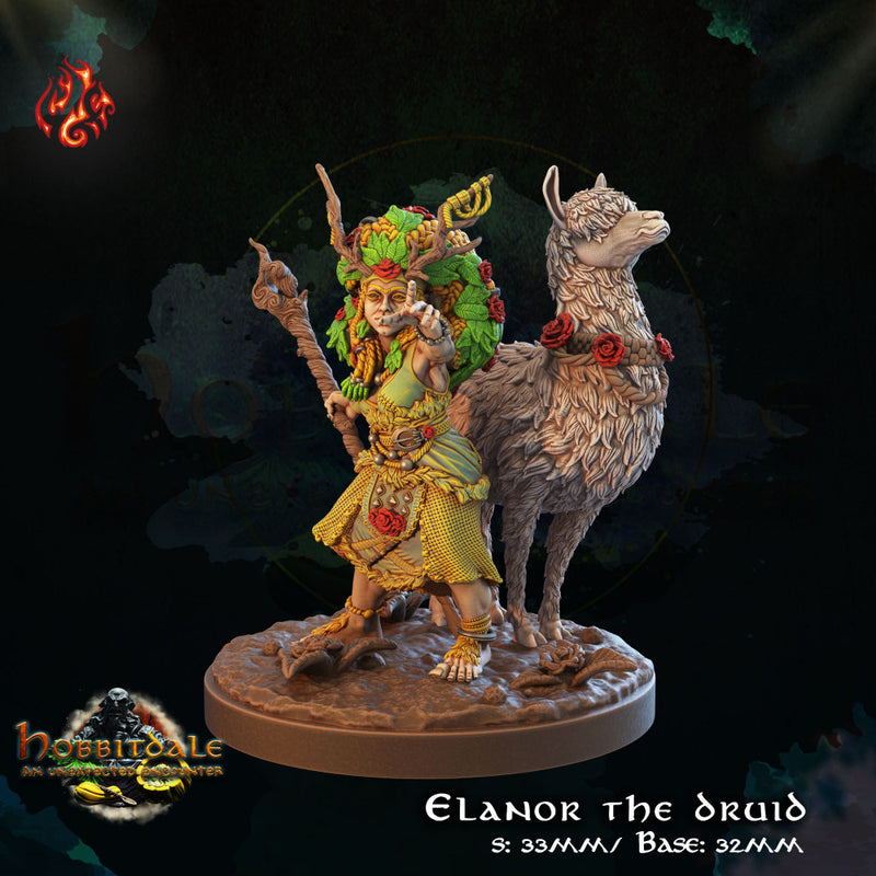 Elanor the Druid - Only-Games