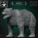 Black Bear - Only-Games