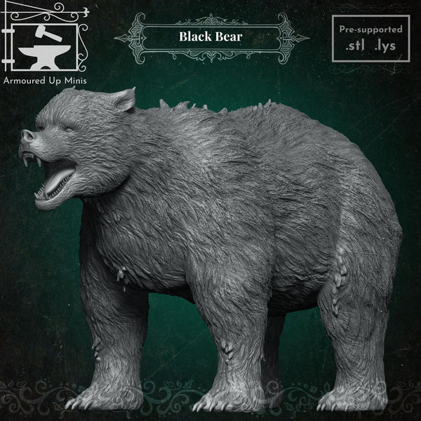 Black Bear