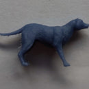 Thylacine - Only-Games