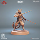 Pangcat Lancers - Only-Games