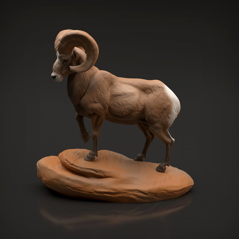 Bighorn Ram 1/32