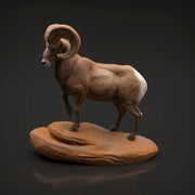 Bighorn Ram 1/35 - Only-Games