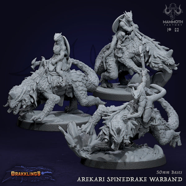 Arekari Spinedrake Warband (3 Models)