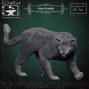 Lion Female - Only-Games