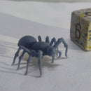 Hunting Spider - Only-Games