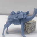 Pack Camel - Only-Games