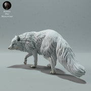 Arctic Fox 1/32 - Only-Games