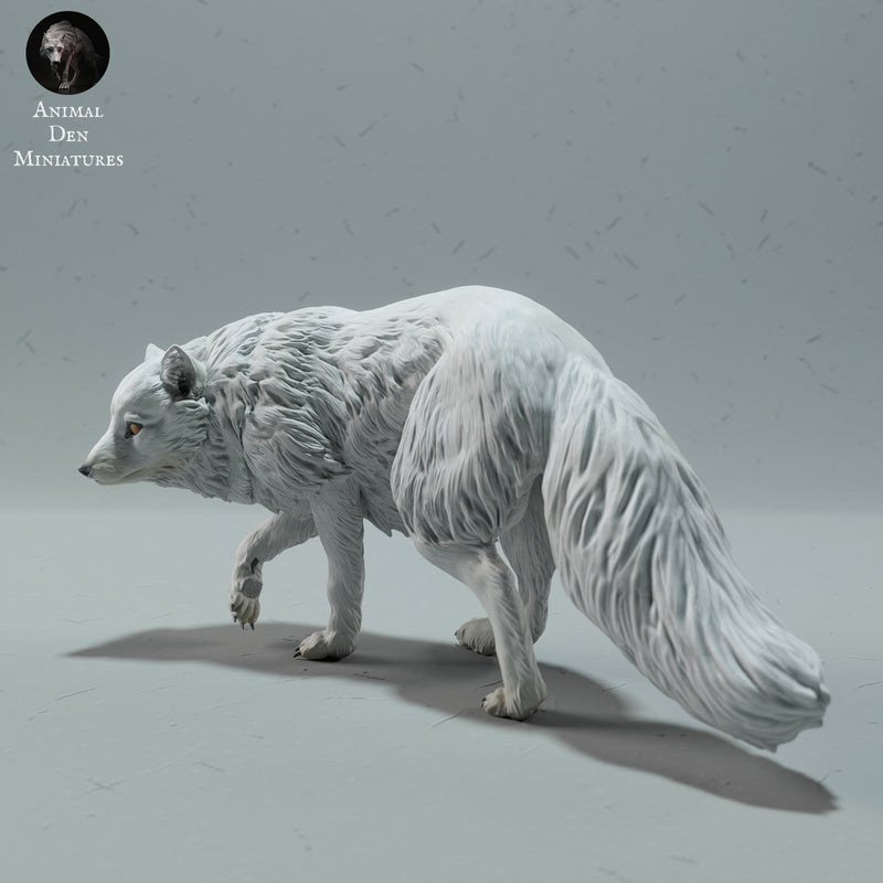 Arctic Fox 1/32 - Only-Games