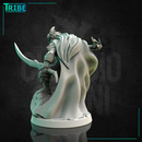 (0216) Male human tiefling elf half-orc firbolg ranger warrior with a sword and spell - Only-Games